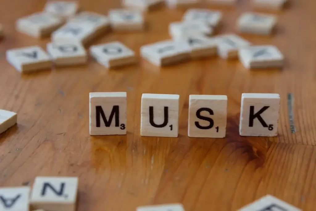 Elon Musk y curiosidades sobre los multimillonarios en el mundo